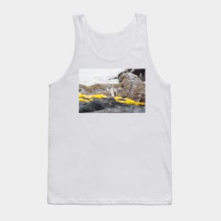 Black-crowned night heron 2 Tank Top